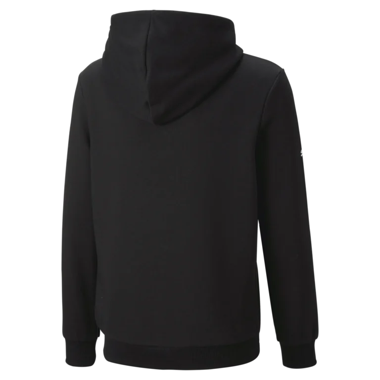 BMW M MOTORSPORT LOGO HOODIE