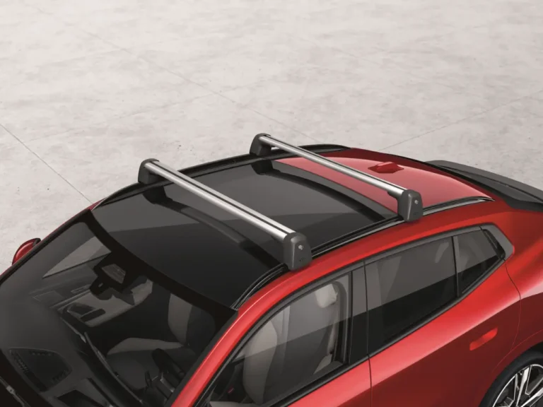 BMW Lockable Roof Racks