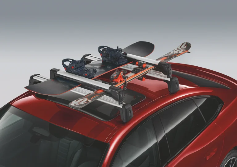 Ski & Snowboard Carrier Extensible Bracket