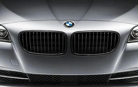 Black Kidney Grille - Left Side