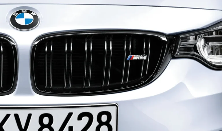 M Performance Front Left Kidney Grille