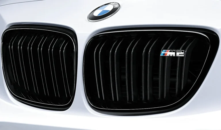 M Performance Front Right Kidney Grille Gloss Black