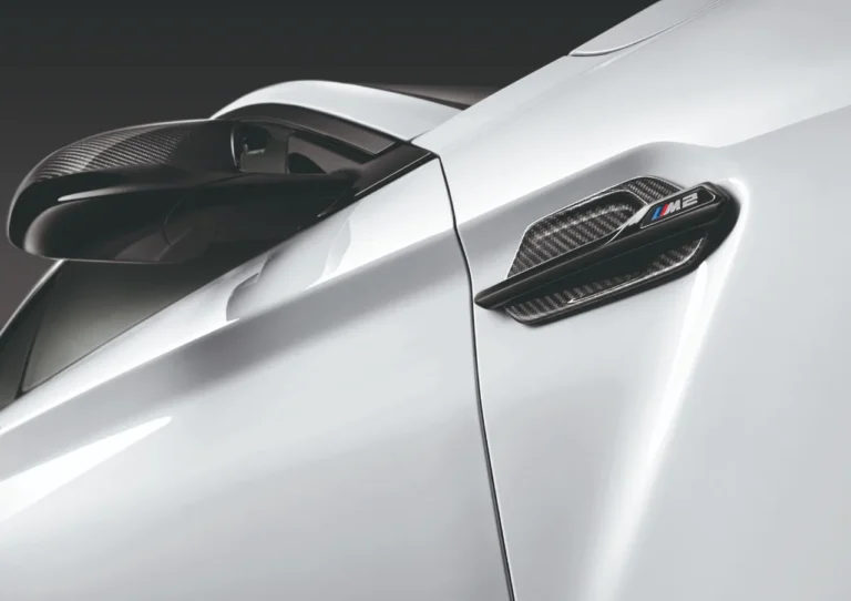 M Performance Left Ornamental Grille