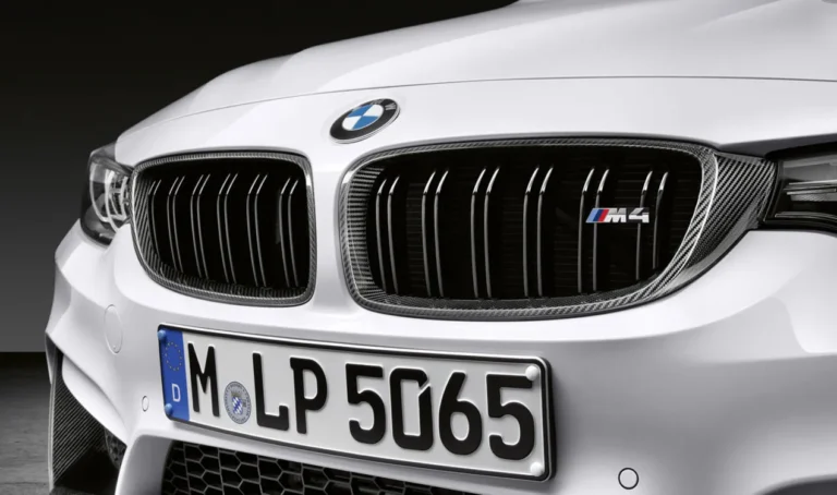 M Performance Right Ornamental Grille